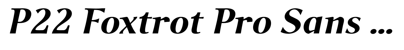 P22 Foxtrot Pro Sans Bold Italic